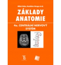 Základy anatomie 4