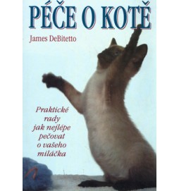 Péče o kotě