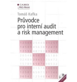 Průvodce pro interní audit a risk management + CD