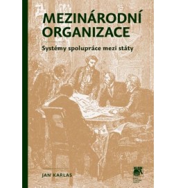 Mezinárodní organizace