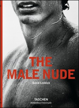 The Male Nude - David Leddick