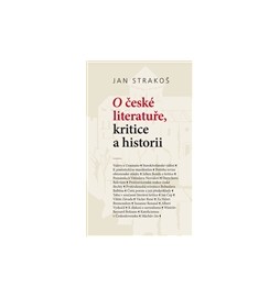 O české literatuře, kritice a historii