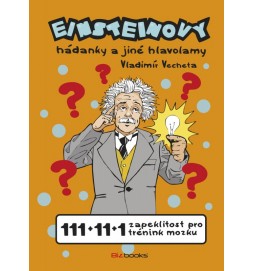 Einsteinovy hádanky