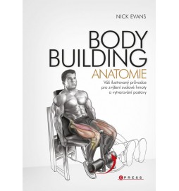 Bodybuilding - anatomie