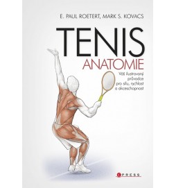 Tenis - anatomie