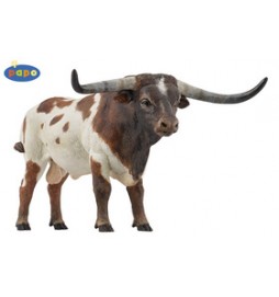 Býk Longhorn