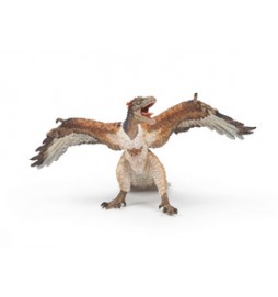 Archaeopteryx