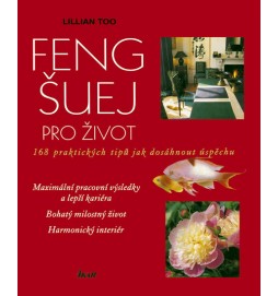 Feng-šuej pro život - 168 praktických tipů jak dosáhnout úspěchu