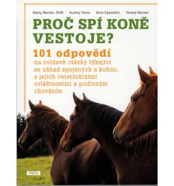 Proč spí koně vestoje?