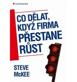 Co dělat, když firma přestane růst