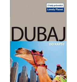 Dubaj do kapsy - Lonely Planet