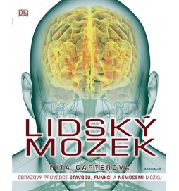 Lidský mozek - Obrazový průvodce stavbou, funkcí a nemocemi mozku