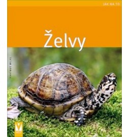 Želvy - Jak na to