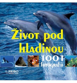 Život pod hladinou - 1001 fotografií