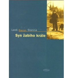 Syn žabího krále