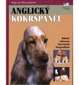 Anglický kokršpaněl