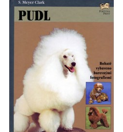 Pudl