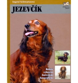 Jezevčík