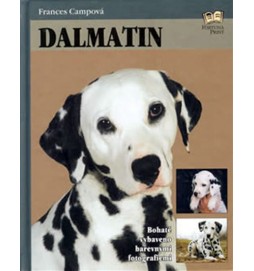 Dalmatin