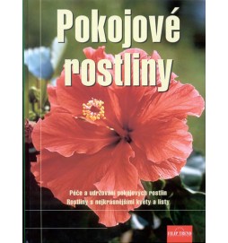 Pokojové rostliny