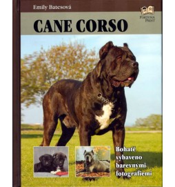 Cane corso