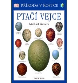 Ptačí vejce - Příroda v kostce