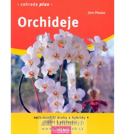 Orchideje - Zahrada plus