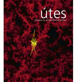 Útes (+ DVD) - Výprava za podmořským světem