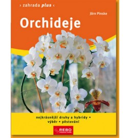 Orchideje - Zahrada plus