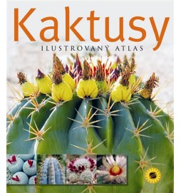 Kaktusy - Ilustrovaný atlas