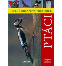 Ptáci - Velký obrazový průvodce