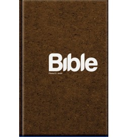 Bible Překlad 21. století (250x170x50mm)