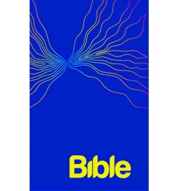 BIBLE překlad 21. století - XL + ilustrace Aleše Lamra