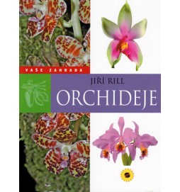 Orchideje - Vaše zahrada