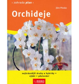 Orchideje - Zahrada plus