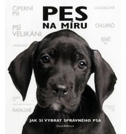 Pes na míru - Jak si vybrat správného psa