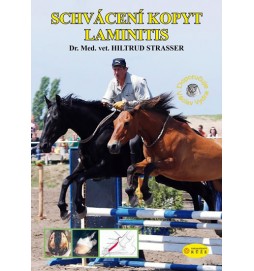 Schvácení kopyt Laminitis