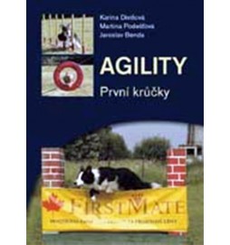 Agility - První krůčky