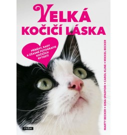 Velká kočičí láska