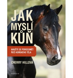 Jak myslí kůň