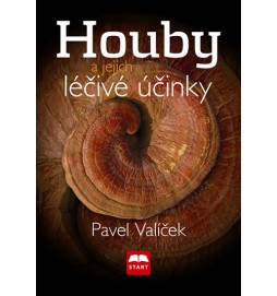 Houby a jejich léčivé účinky