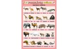 Poznávej zvířata - Exotická zvířata