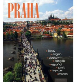 Praha (ČJ, AJ, NJ, FJ, ŠJ, Pol.J, RJ, IJ)