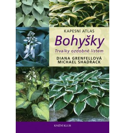 Bohyšky – trvalky ozdobné listem