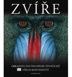 Zvíře