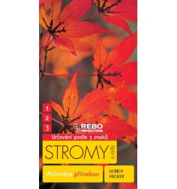 Stromy a keře - Průvodce přírodou