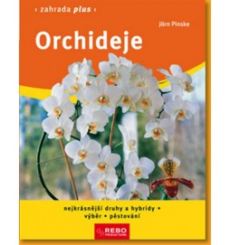 Orchideje - Zahrada plus