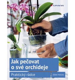 Jak pečovat o své orchideje - Praktický rádce