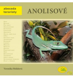 Anolisové - Abeceda teraristy