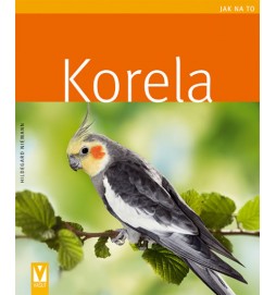 Korela - Jak na to